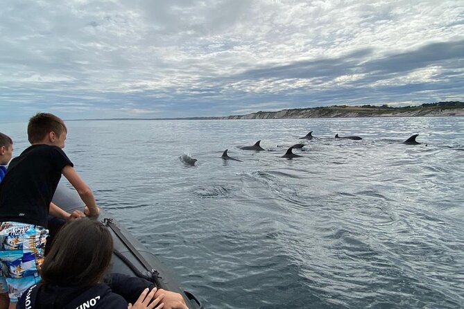 Explore the Wild Beauty of the Basque Coast by Boat - The Jaizkibel swim stop