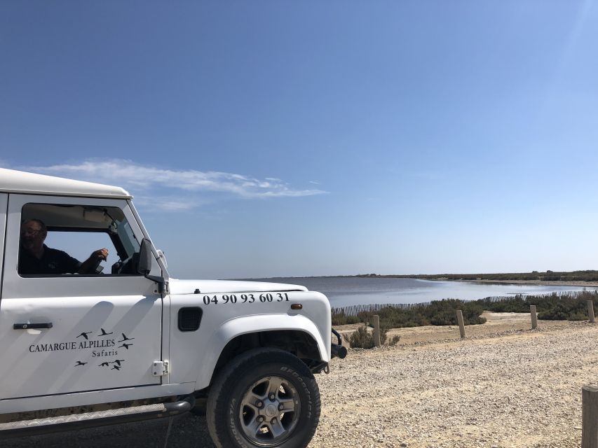From Arles: Half-Day 4x4 Camargue Safari - Comfort, weather, and what to bring