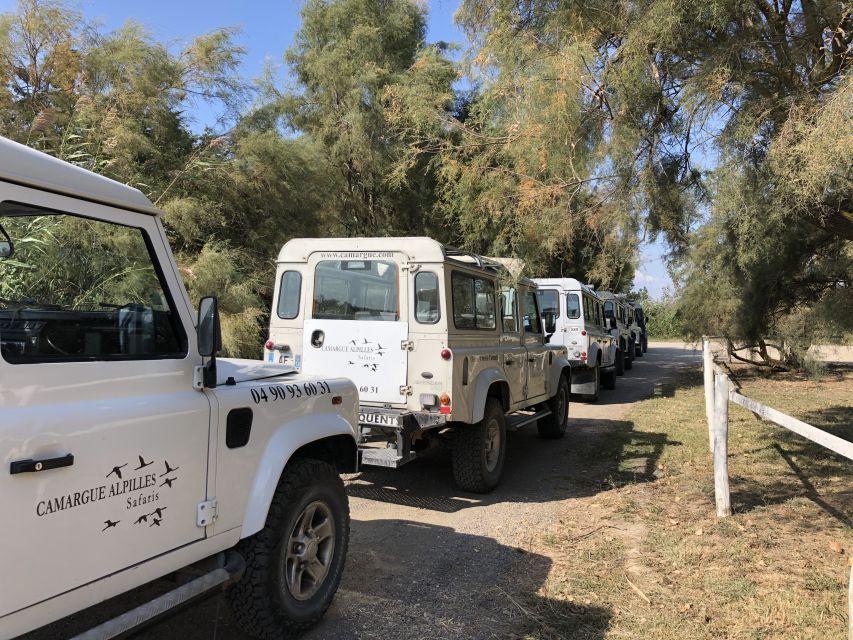 From Arles: Half-Day 4x4 Camargue Safari - The four-hour route through ponds, marshes, and rice fields