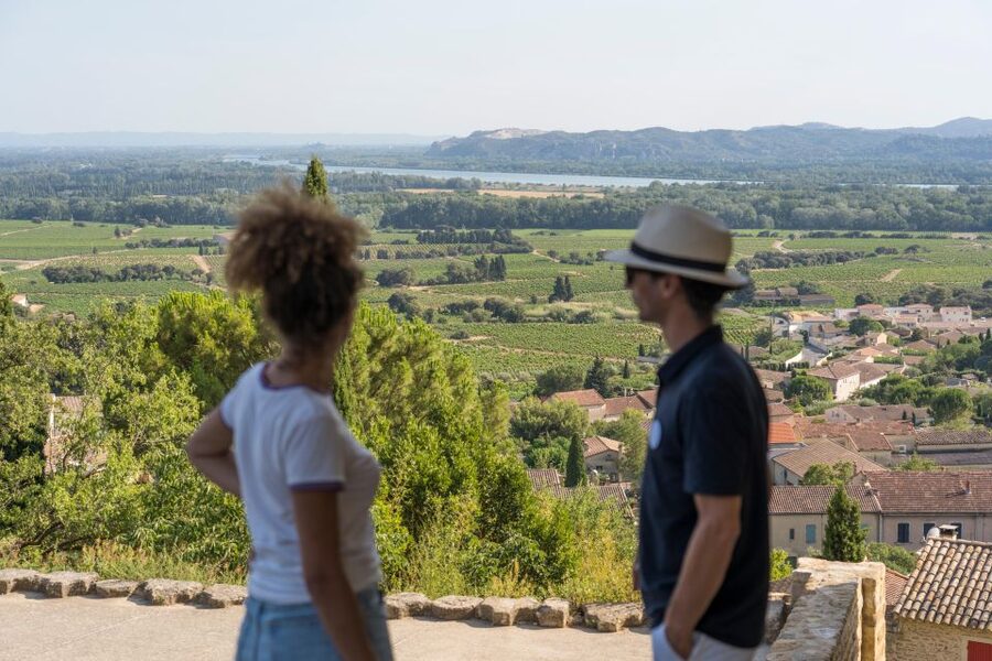 From Avignon: Châteauneuf du Pape Half-Day Wine Tour - First tasting: learning the wines at the source