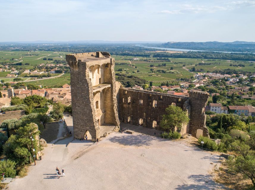From Avignon: Châteauneuf du Pape Half-Day Wine Tour - The Pope’s ruined summer residence and the best photo stop