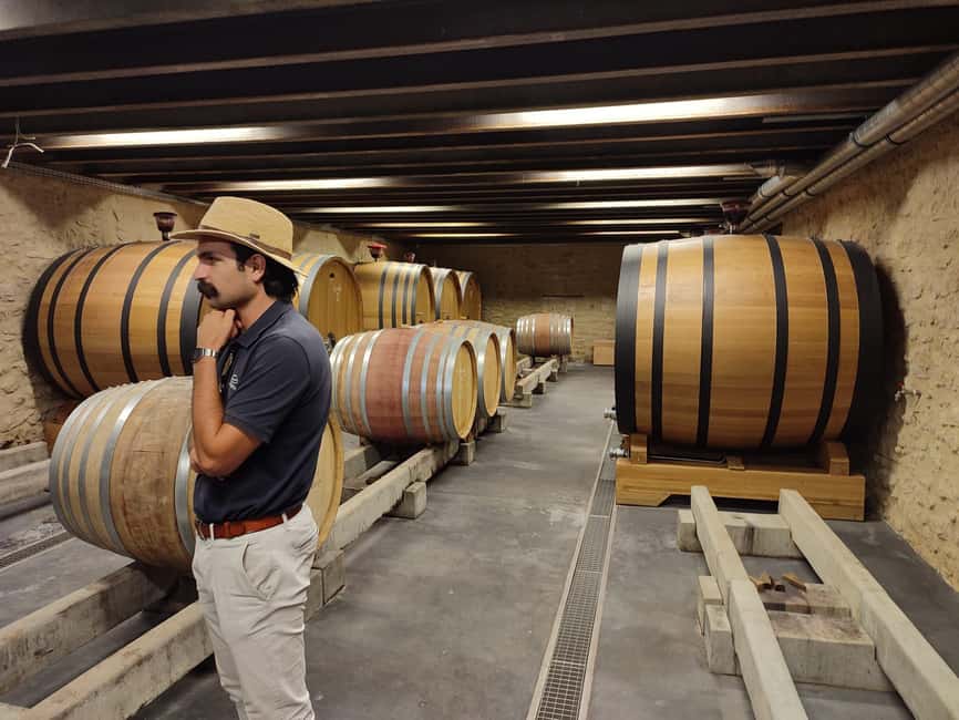 From Avignon: Châteauneuf du Pape Half-Day Wine Tour - What $112 buys you