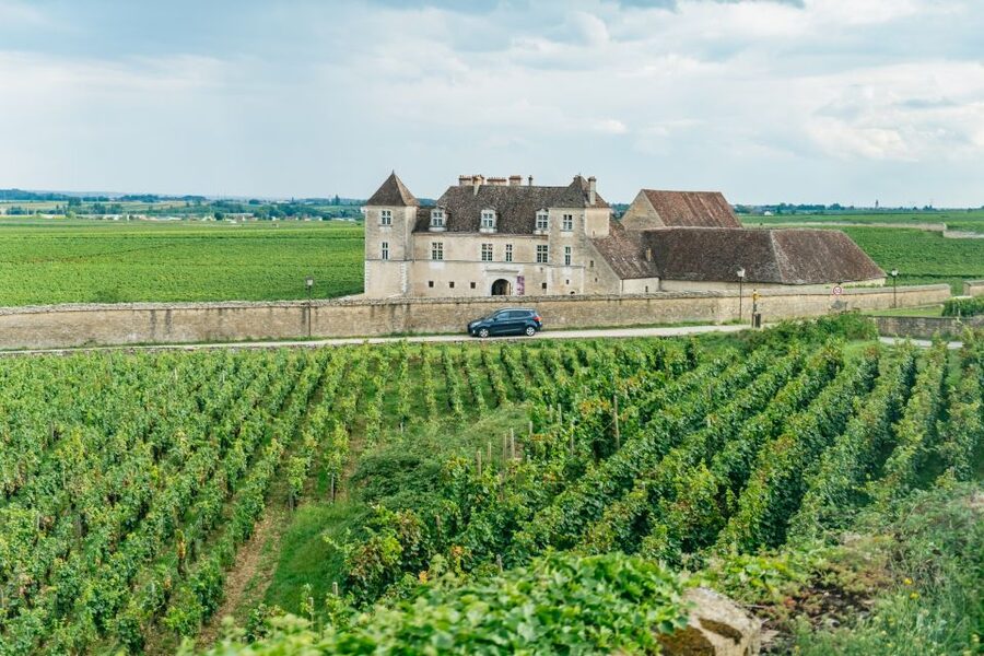 From Beaune: Burgundy Day Trip with 14 Wine Tastings - Key points at a glance