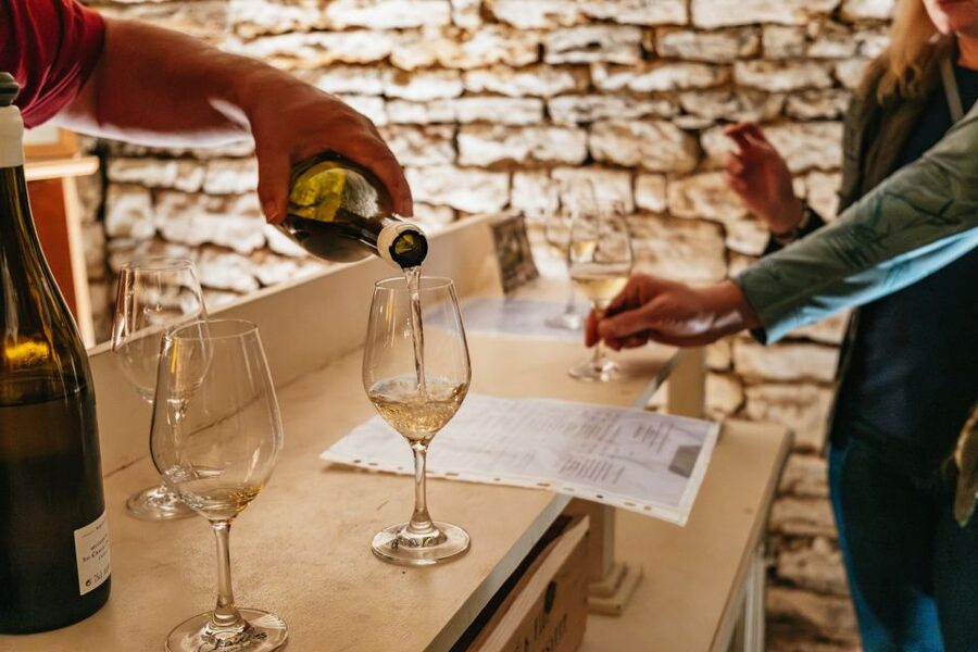 From Beaune: Burgundy Day Trip with 14 Wine Tastings - Beaune’s first winery visit