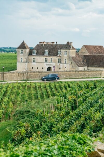 Burgundy Day Trip with 14 Wine Tastings