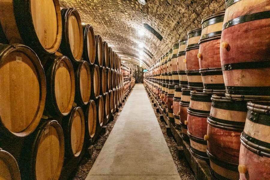 From Beaune: Burgundy Day Trip with 14 Wine Tastings - Clos de Vougeot and its four centuries of wine culture