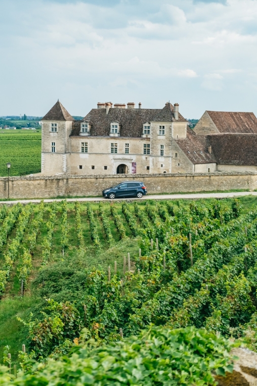 From Beaune: Burgundy Day Trip with 14 Wine Tastings - Meeting in Beaune at 9:30 AM