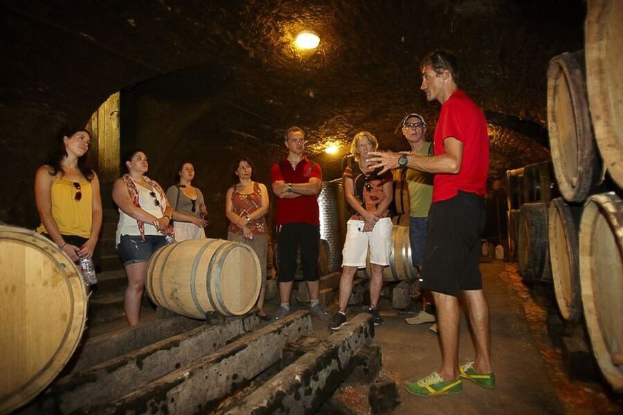 From Beaune: Full-Day Bicycle and Wine Tour in Burgundy - Key points at a glance