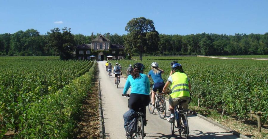 From Beaune: Full-Day Bicycle and Wine Tour in Burgundy - Why a bicycle is the right way to see Burgundy