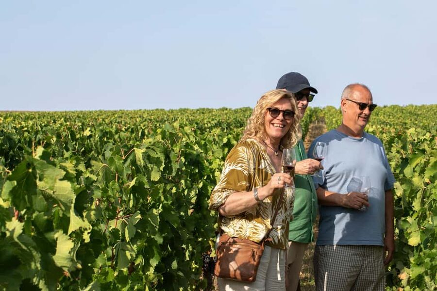 From Bordeaux: Afternoon Saint-Emilion Wine Tasting & snack - Tasting three or four wines with French produce