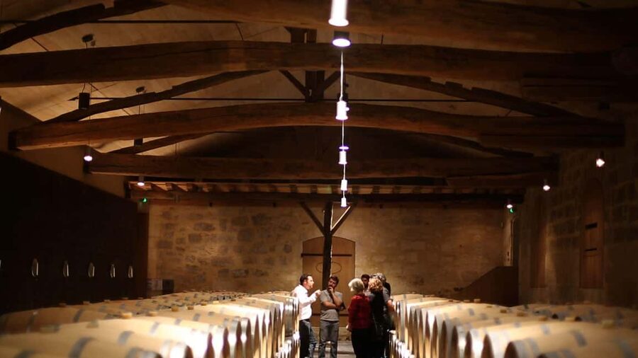 From Bordeaux: Afternoon Saint-Emilion Wine Tasting & snack - Walking the medieval village for 75 minutes