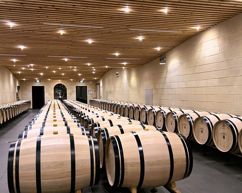 From Bordeaux: Afternoon Saint-Emilion Wine Tasting & snack - Should you book it?