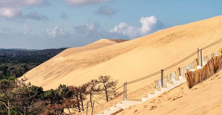 From Bordeaux: Arcachon Bay Full Day Tour and Oyster Lunch - Key points to know before booking