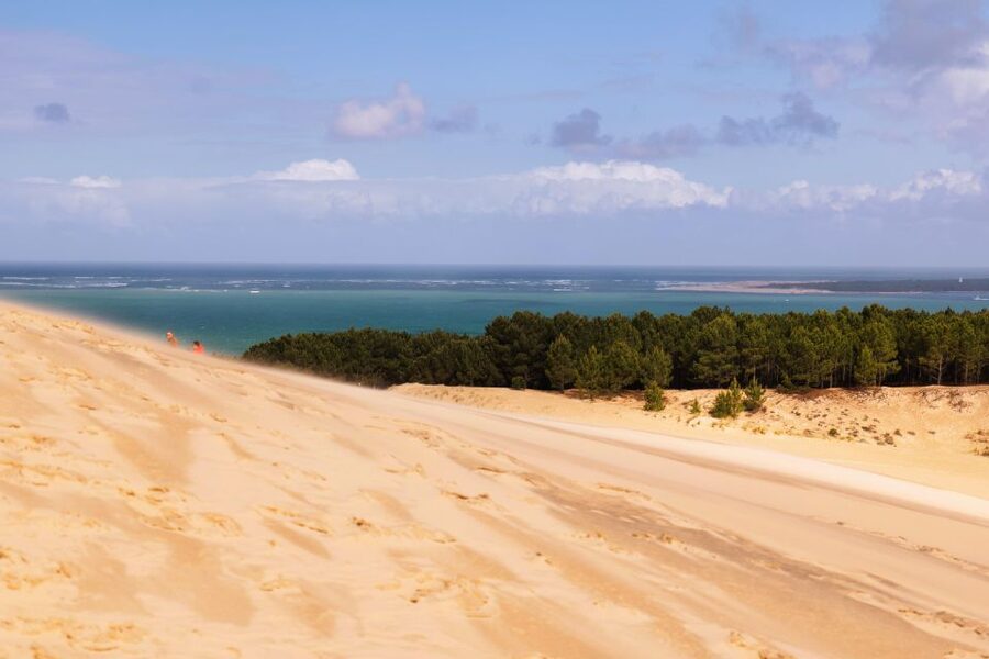 From Bordeaux: Arcachon Bay Full Day Tour and Oyster Lunch - Arcachon’s Winter Town and its eccentric villas