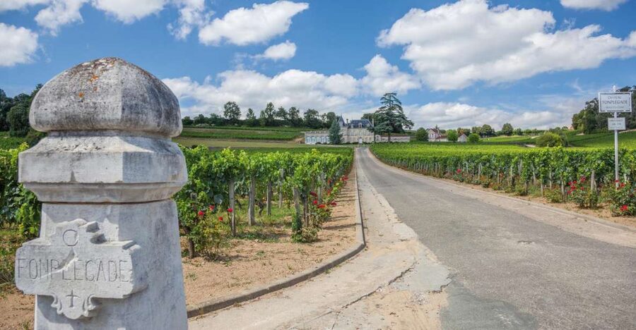 From Bordeaux: Full-Day St Emilion Wine Tasting Tour - Why Saint-Émilion makes a good Bordeaux day trip