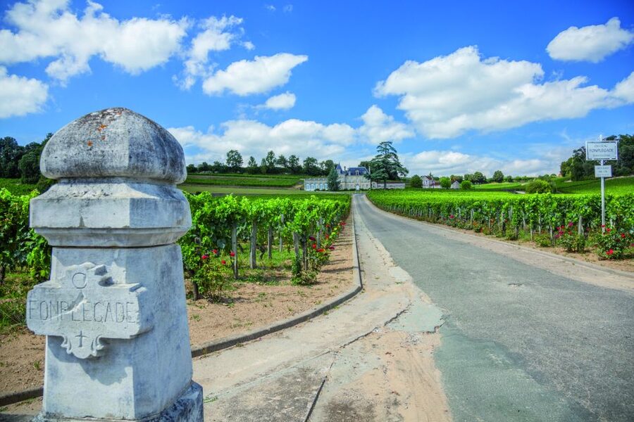 From Bordeaux: Full-Day St Emilion Wine Tasting Tour - The 45-minute ride from central Bordeaux