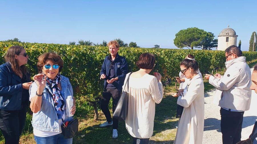 From Bordeaux: Half-Day Saint-Émilion Tour and Wine Tasting - Who should choose this half-day tour?