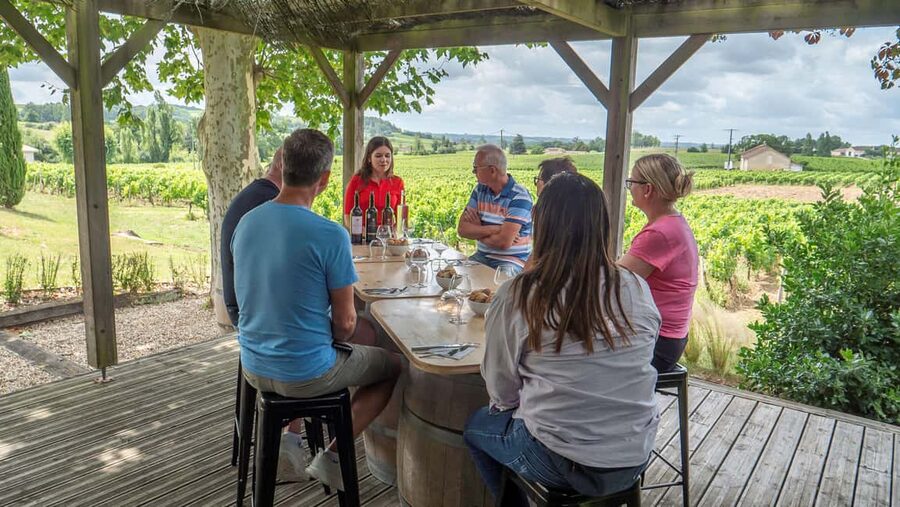 From Bordeaux: St-Emilion Day Tour with Tastings and Lunch - First château: three wines and a country lunch