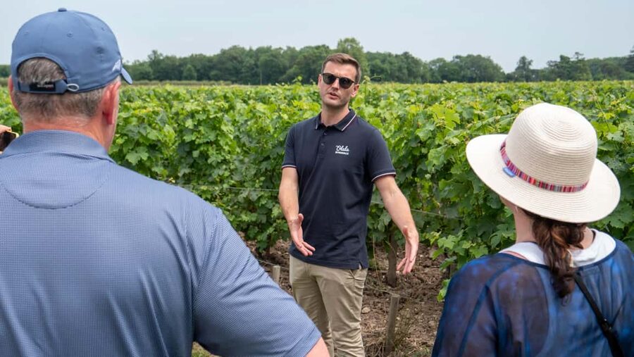 From Bordeaux: St-Emilion Day Tour with Tastings and Lunch - Second château: a closer look at the appellation