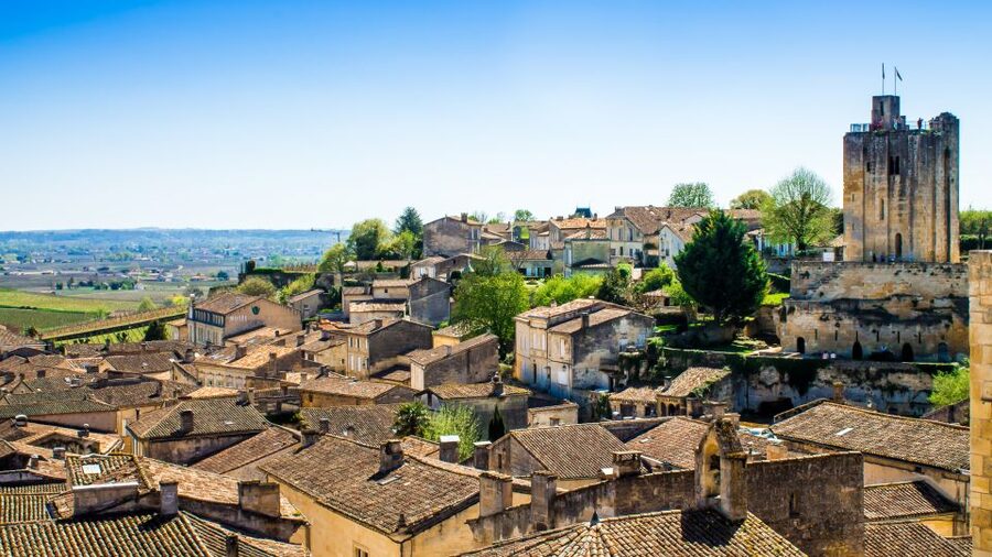 From Bordeaux: St. Emilion Village Half-Day Wine Tour - What happens at the classified-growth château