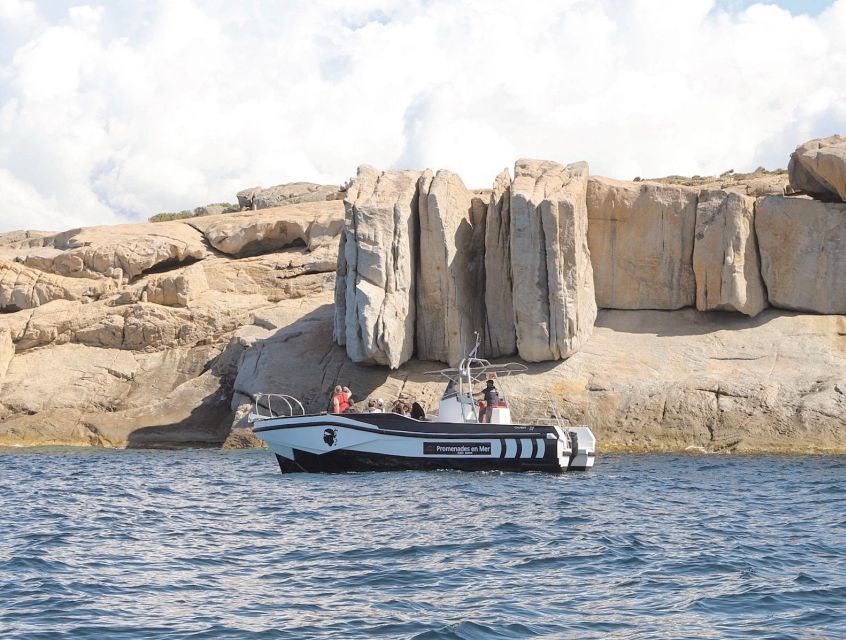 From Calvi: 2-Hour Sunset Cruise to Revellata Peninsula - Key points to know before booking
