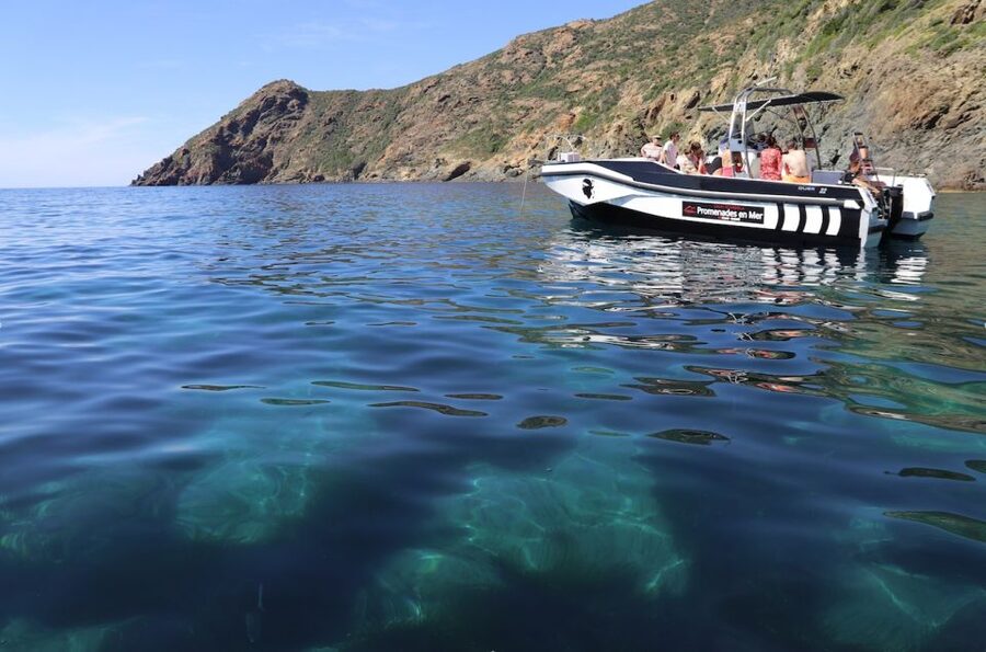 From Calvi: 2-Hour Sunset Cruise to Revellata Peninsula - A swim at Alga Beach