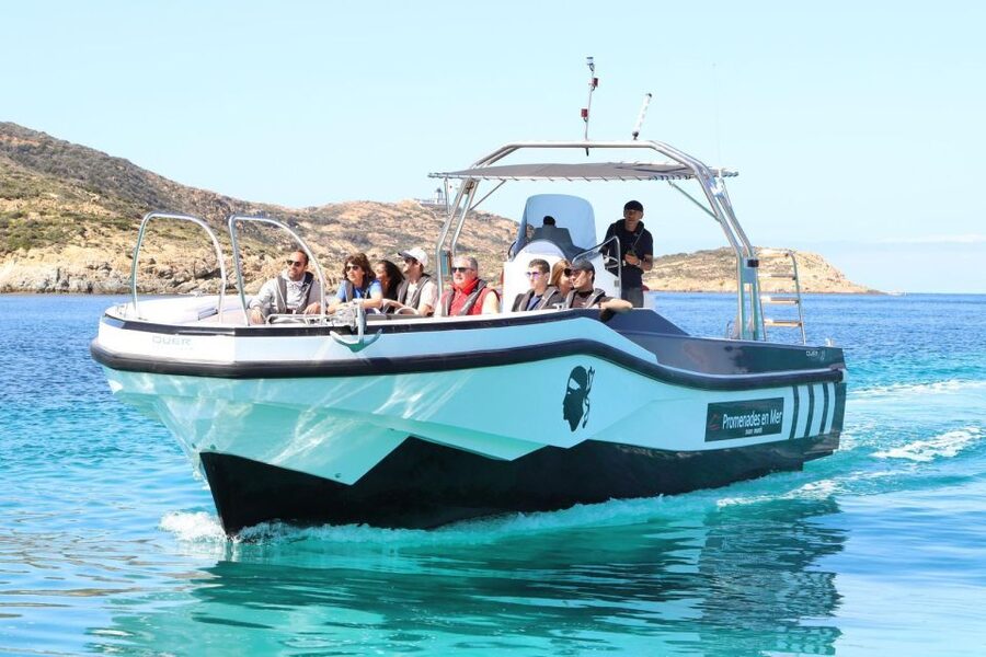 From Calvi: 2-Hour Sunset Cruise to Revellata Peninsula - Practical tips for a smoother trip