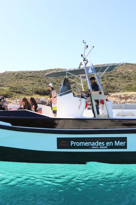 From Calvi: 2-Hour Sunset Cruise to Revellata Peninsula - The ride toward the wild Revellata Peninsula