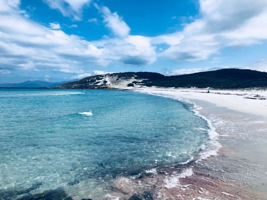 From Calvi: 4x4 Day Tour Mountain & Agriates' Saleccia Beach - Key points to know before booking