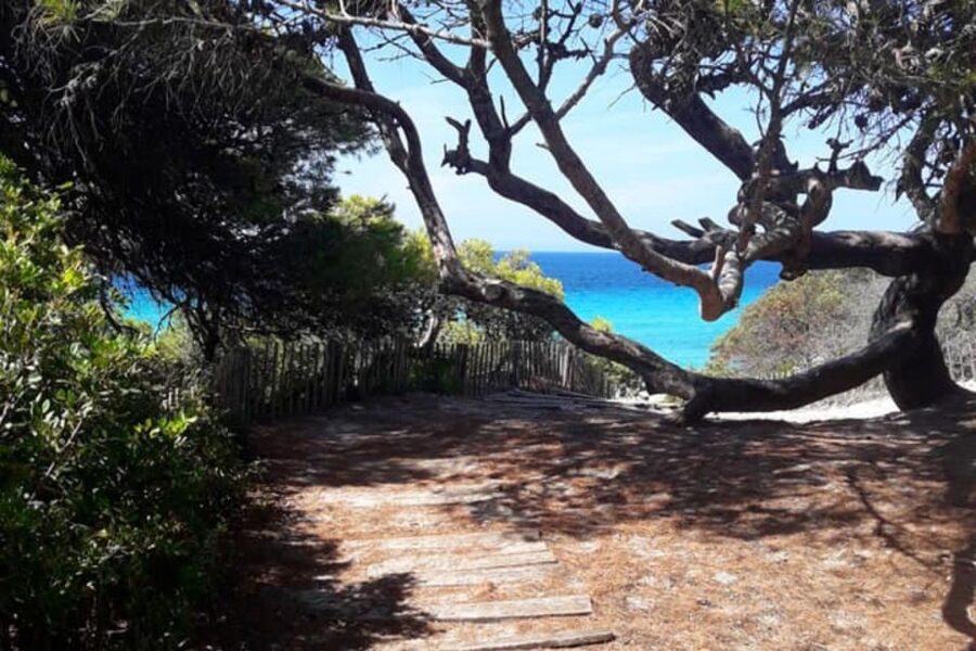 From Calvi: 4x4 Day Tour Mountain & Agriates' Saleccia Beach - Is the $123 price good value?