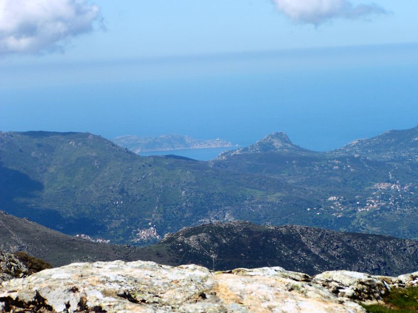 From Calvi: 4x4 Day Tour Mountain & Agriates' Saleccia Beach - Through the old olive trees of Reginu Valley