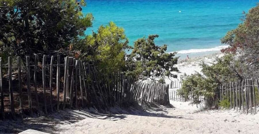 From Calvi: 4x4 Day Tour Mountain & Agriates' Saleccia Beach - The local farm stop and lunch choice
