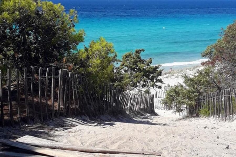 From Calvi: 4x4 Day Tour Mountain & Agriates' Saleccia Beach - The rough track to Saleccia Beach