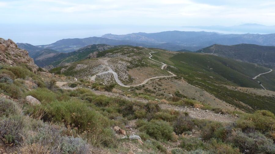 From Calvi: 4x4 Day Tour Mountain & Agriates' Saleccia Beach - Two hours to swim, rest, and slow down