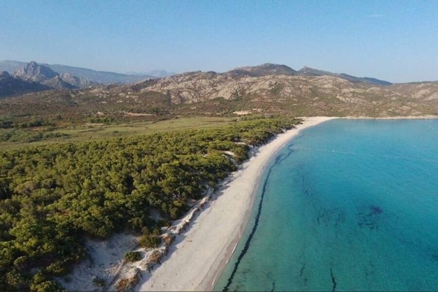 From Calvi: 4x4 Day Tour Mountain & Agriates' Saleccia Beach - Starting above the coast near Calvi