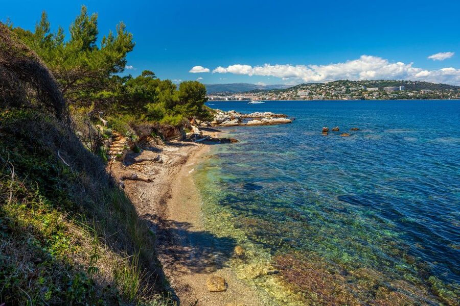 From Cannes: Round-Trip Ferry to Ste. Marguerite Island - Who should book this ferry trip?