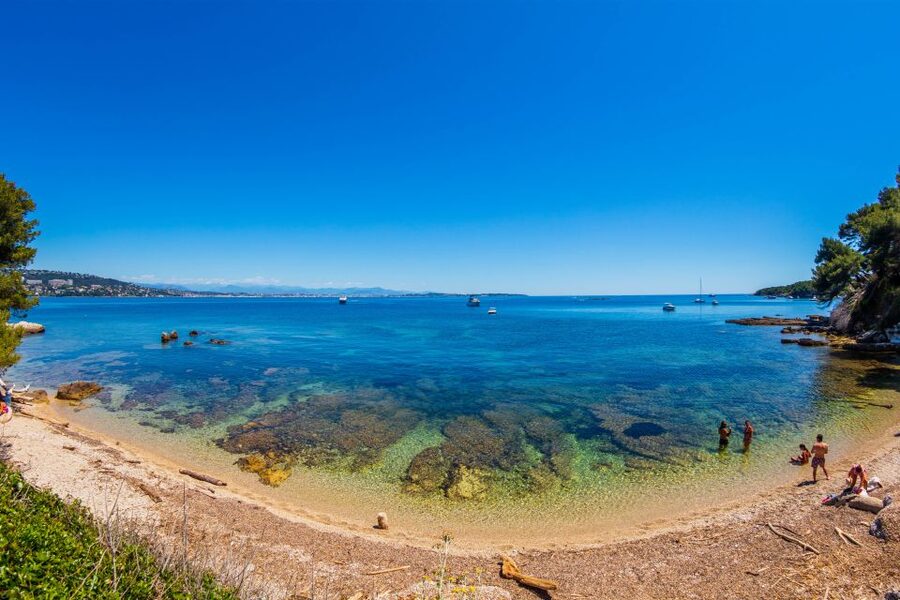 From Cannes: Round-Trip Ferry to Ste. Marguerite Island - Swimming, coves, and the underwater eco museum