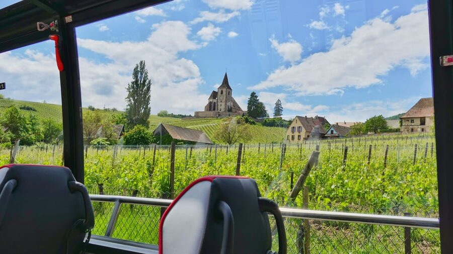 From Colmar: Alsace Medieval and Wine Tasting Day Tour - What the guiding is really like