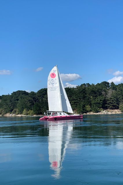 From Concarneau or Port la Forêt: Evening 2 hours navigation - The aperitif is a pleasant extra, not dinner