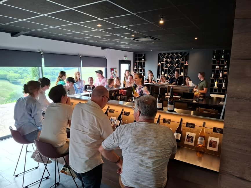 From Lyon: Beaujolais Wine Route Half-Day Tour - Château de Pizay and the 12-wine tasting