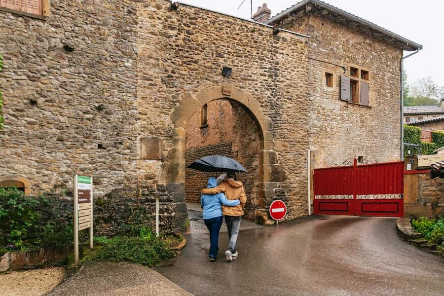 From Lyon: Golden Stones Beaujolais Wine Tasting Tour - Who will enjoy this Beaujolais tour most