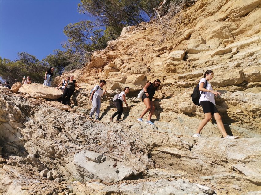 From Marseille: Calanques National Park Guided Hike - The value of a $41 guided outing