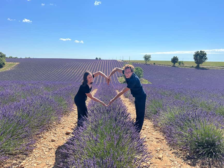 From Marseille: Valensole Lavender Full-Day tour - What the small group changes