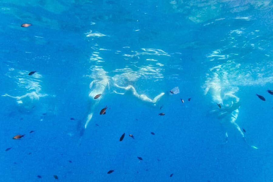From Nice: French Riviera Swimming and Snorkeling Cruise - What the crew does well