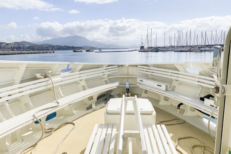 From Ota: Scandola Nature Reserve Eco-Friendly Boat Tour - Scandola Nature Reserve in silent mode