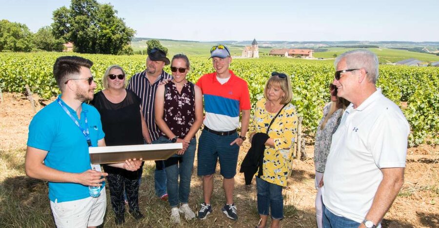 From Paris: Burgundy Region Winery Tour with Tastings - Why this Burgundy day trip works