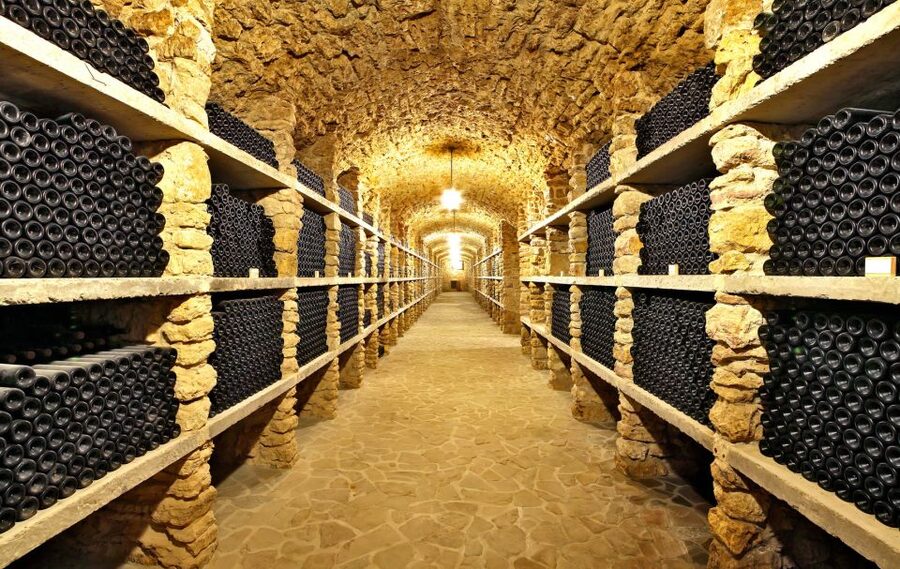 From Paris: Burgundy Region Winery Tour with Tastings - Should you book it?