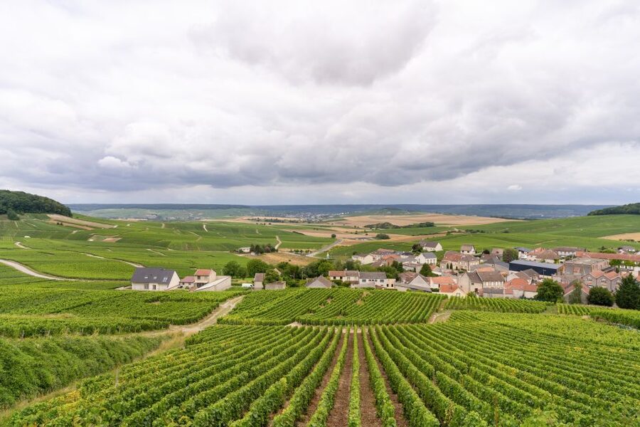 From Paris: Day Trip to Champagne with 8 Tastings & Lunch - Who should book this experience?