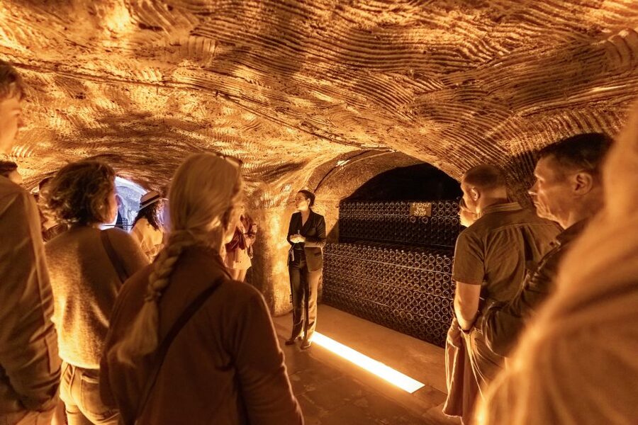 From Paris: Day Trip to Champagne with 8 Tastings & Lunch - The afternoon producer shows a different side of Champagne