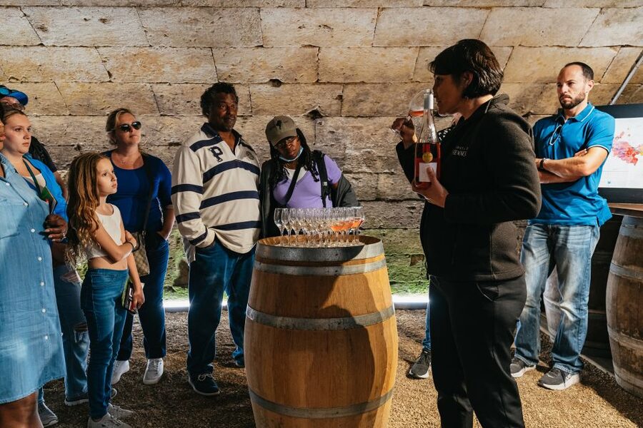 From Paris: Loire Valley Castles Day Trip With Wine Tasting - Why this Loire Valley day trip works